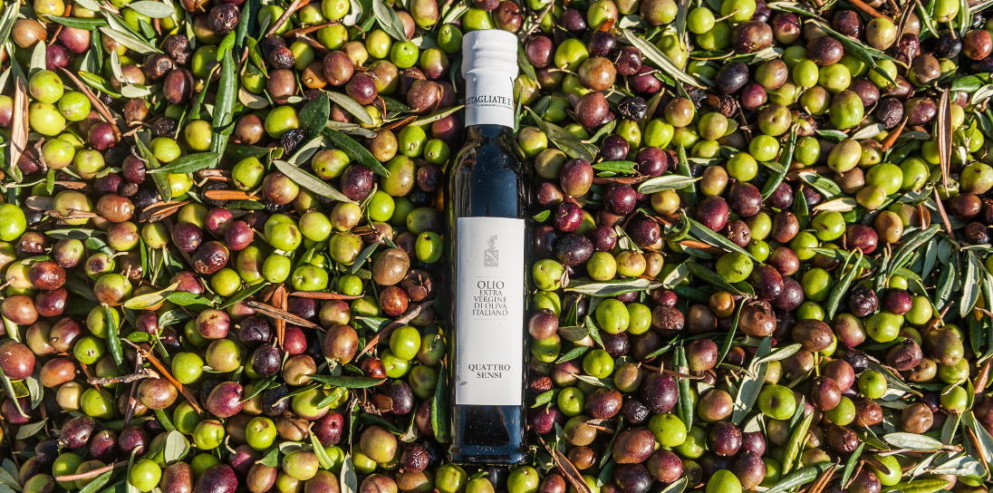 Olio extravergine di oliva italiano - quattro sensi - TENUTE PIETRETAGLIATE E REGALBESI