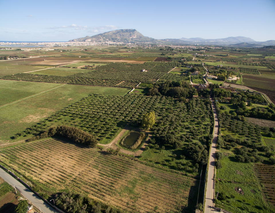 Tenute di Pietretagliate - TENUTE PIETRETAGLIATE E REGALBESI